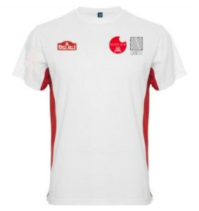 Camiseta del Quijote Team